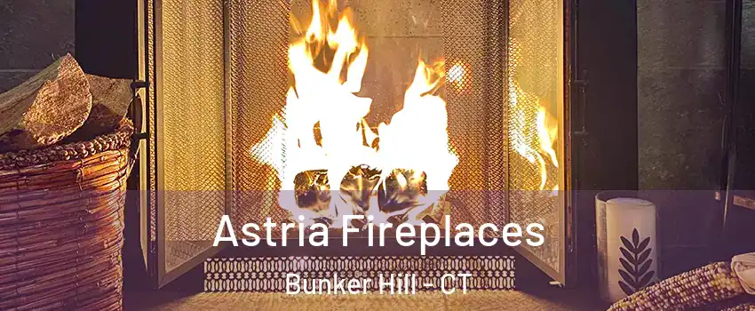 Astria Fireplaces Bunker Hill - CT