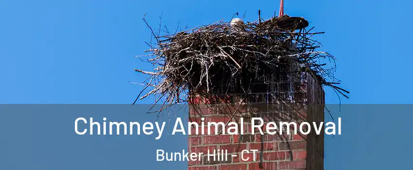 Chimney Animal Removal Bunker Hill - CT