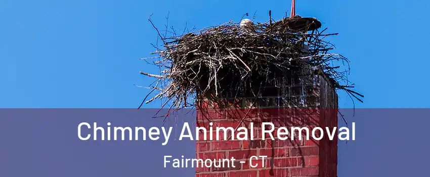 Chimney Animal Removal Fairmount - CT