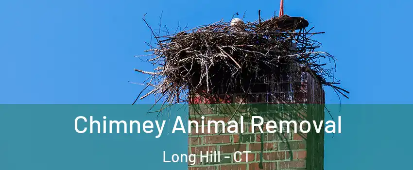 Chimney Animal Removal Long Hill - CT