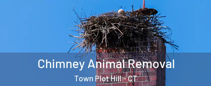 Chimney Animal Removal Town Plot Hill - CT