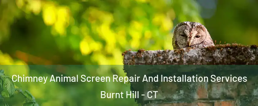 Chimney Animal Screen Repair And Installation Services Burnt Hill - CT