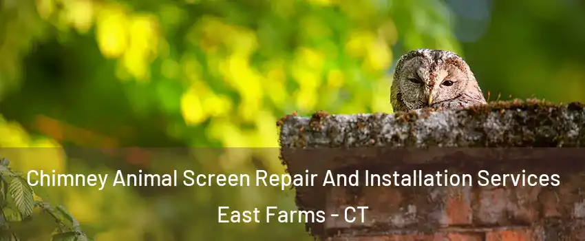 Chimney Animal Screen Repair And Installation Services East Farms - CT