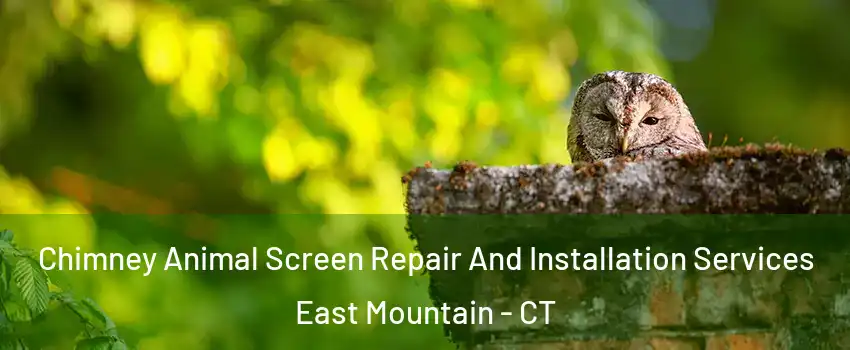 Chimney Animal Screen Repair And Installation Services East Mountain - CT