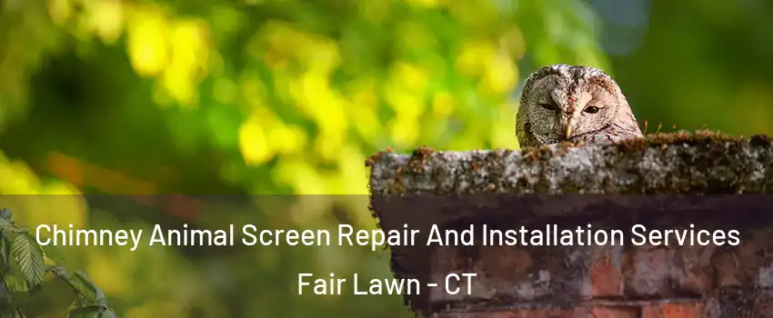 Chimney Animal Screen Repair And Installation Services Fair Lawn - CT