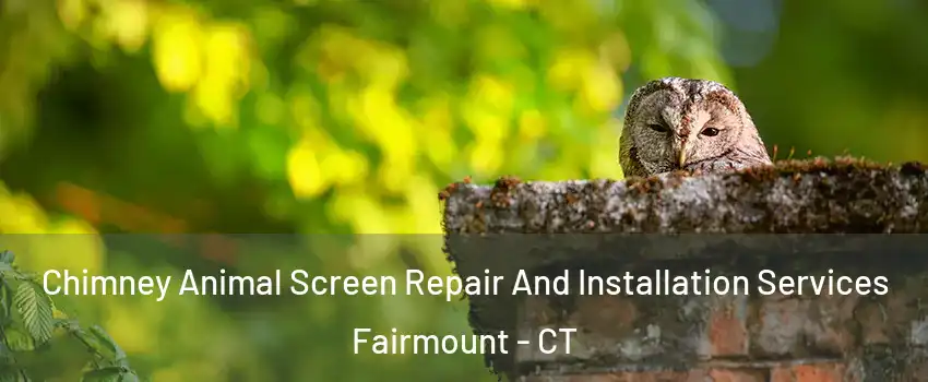 Chimney Animal Screen Repair And Installation Services Fairmount - CT