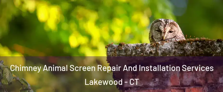 Chimney Animal Screen Repair And Installation Services Lakewood - CT