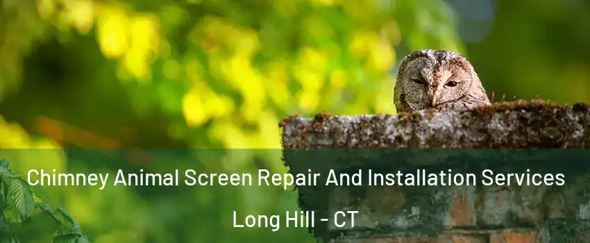 Chimney Animal Screen Repair And Installation Services Long Hill - CT