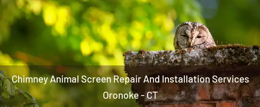 Chimney Animal Screen Repair And Installation Services Oronoke - CT