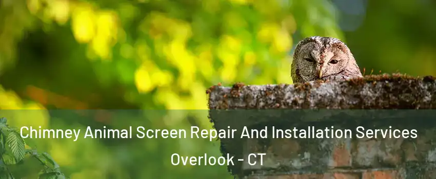 Chimney Animal Screen Repair And Installation Services Overlook - CT