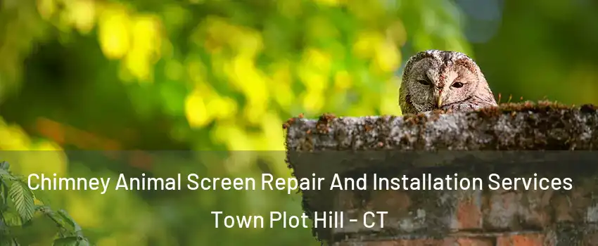 Chimney Animal Screen Repair And Installation Services Town Plot Hill - CT