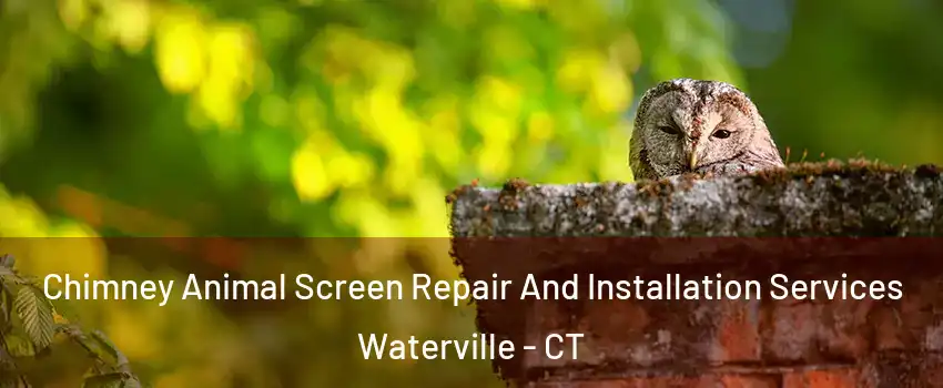 Chimney Animal Screen Repair And Installation Services Waterville - CT