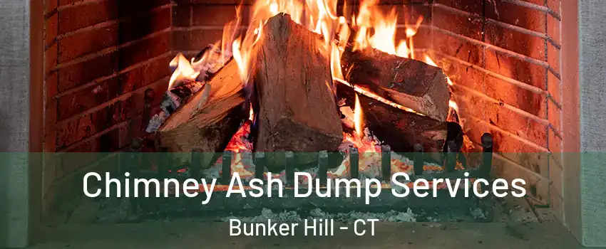 Chimney Ash Dump Services Bunker Hill - CT