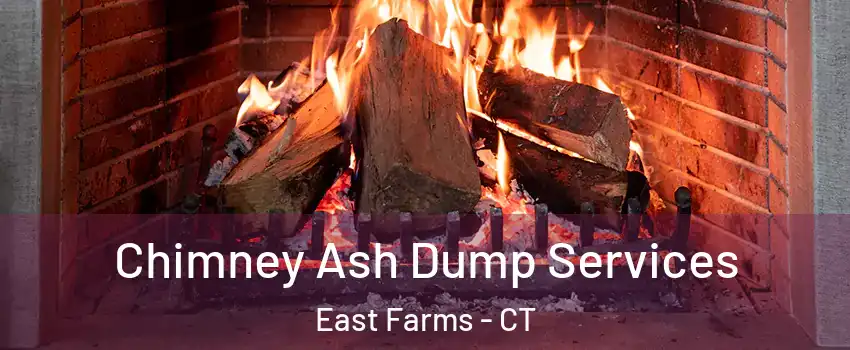 Chimney Ash Dump Services East Farms - CT