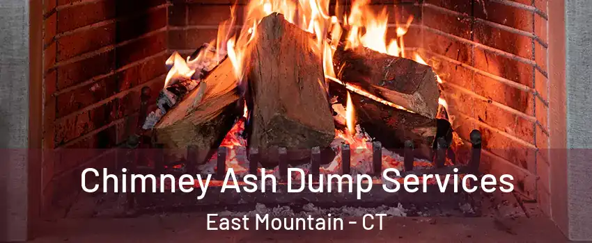 Chimney Ash Dump Services East Mountain - CT