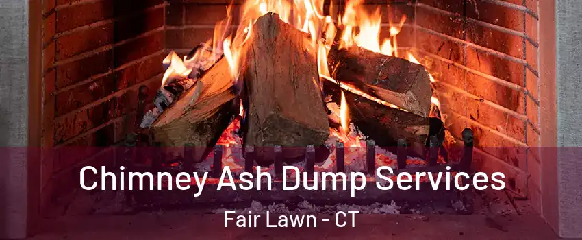 Chimney Ash Dump Services Fair Lawn - CT