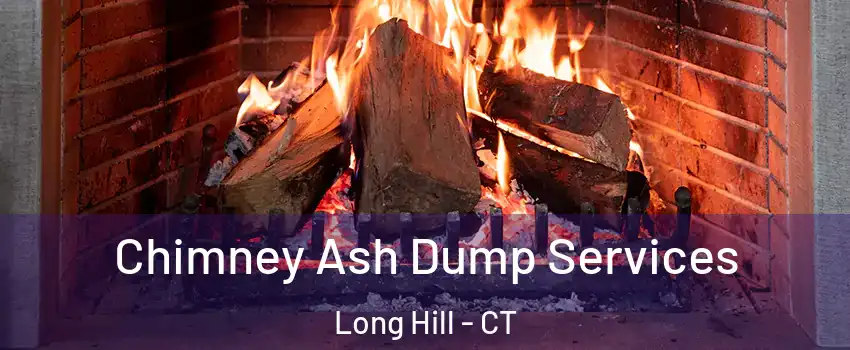 Chimney Ash Dump Services Long Hill - CT