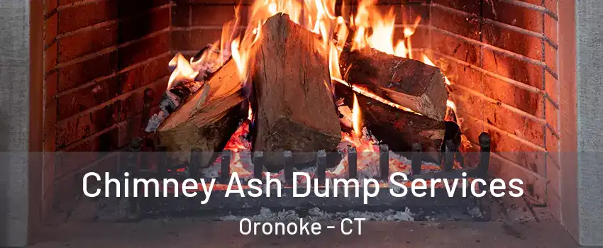 Chimney Ash Dump Services Oronoke - CT