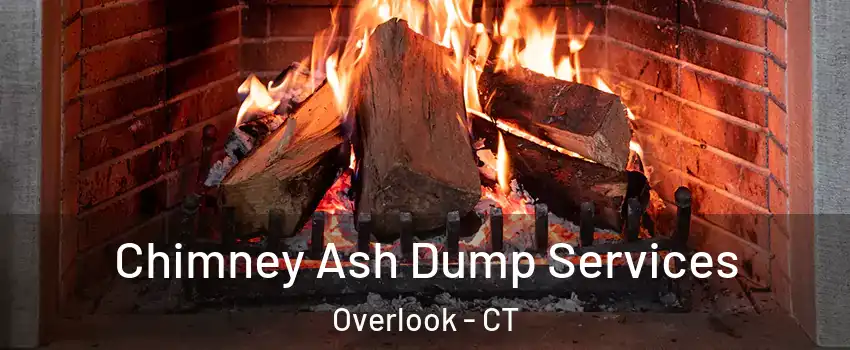 Chimney Ash Dump Services Overlook - CT