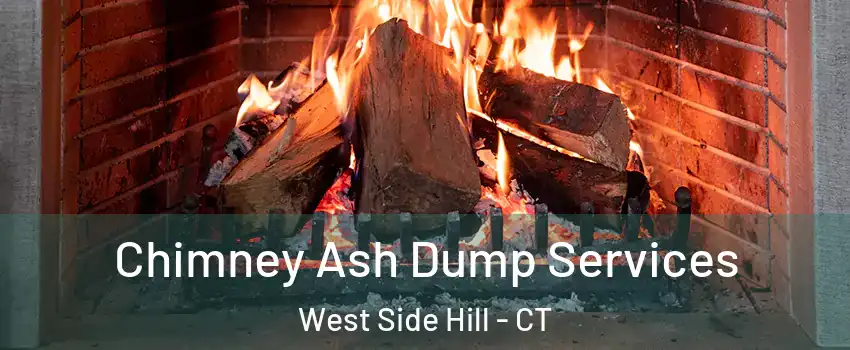 Chimney Ash Dump Services West Side Hill - CT