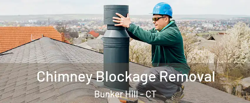 Chimney Blockage Removal Bunker Hill - CT