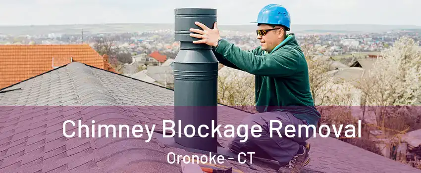 Chimney Blockage Removal Oronoke - CT