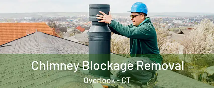 Chimney Blockage Removal Overlook - CT