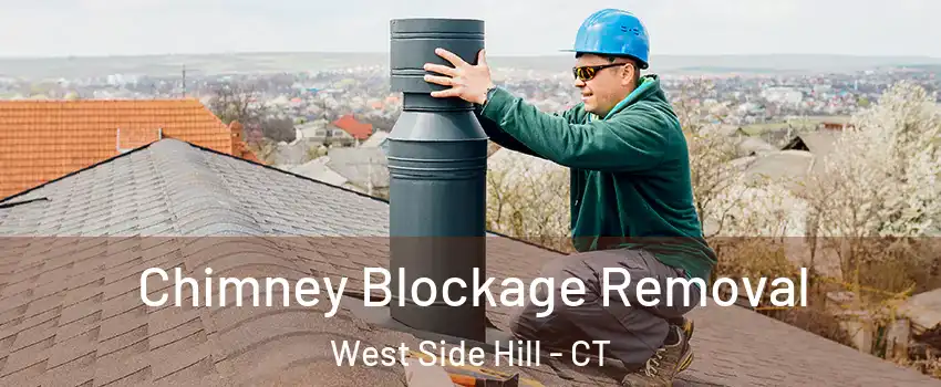 Chimney Blockage Removal West Side Hill - CT