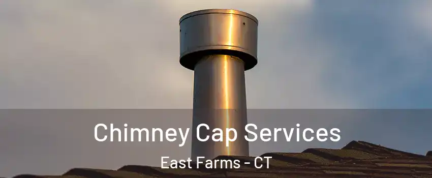 Chimney Cap Services East Farms - CT