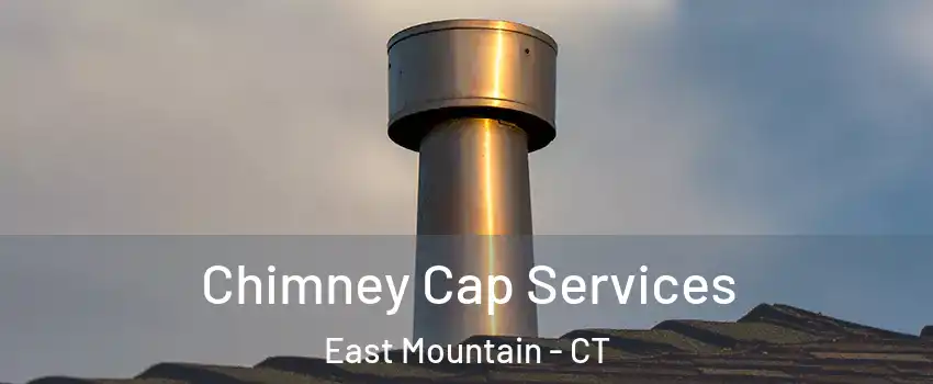 Chimney Cap Services East Mountain - CT