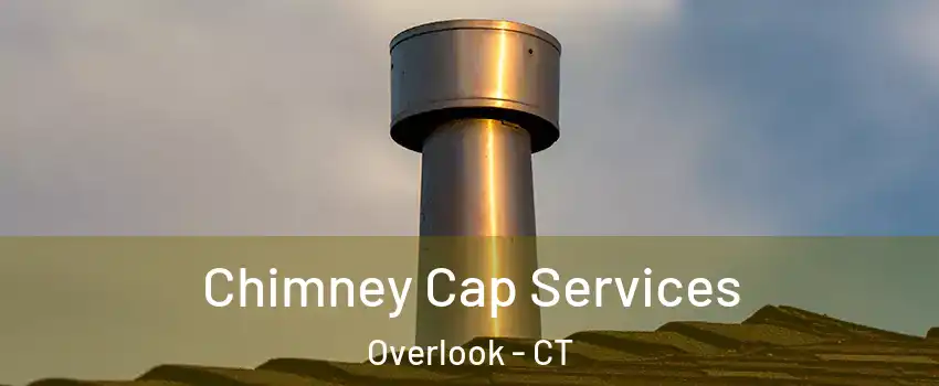 Chimney Cap Services Overlook - CT