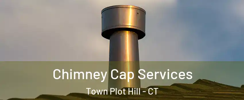 Chimney Cap Services Town Plot Hill - CT