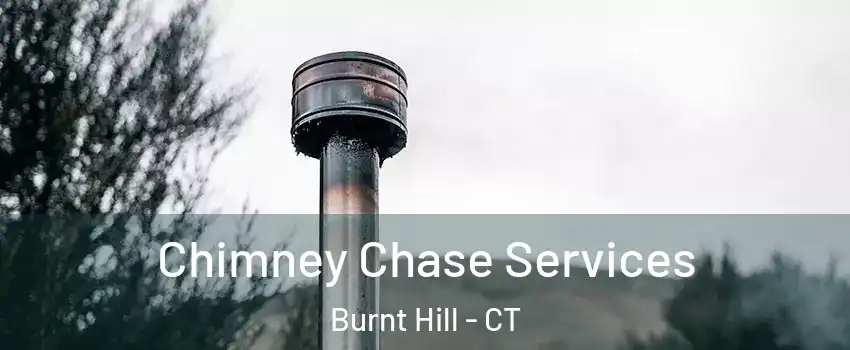 Chimney Chase Services Burnt Hill - CT