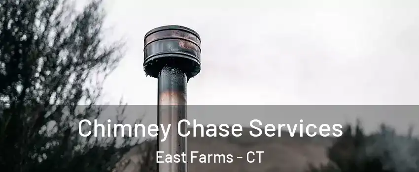 Chimney Chase Services East Farms - CT