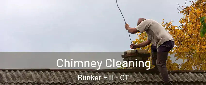 Chimney Cleaning Bunker Hill - CT