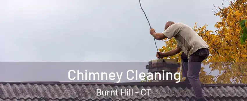 Chimney Cleaning Burnt Hill - CT