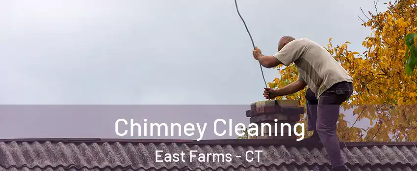 Chimney Cleaning East Farms - CT