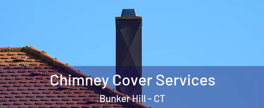 Chimney Cover Services Bunker Hill - CT