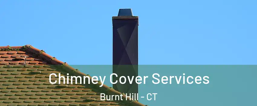 Chimney Cover Services Burnt Hill - CT