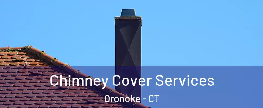 Chimney Cover Services Oronoke - CT