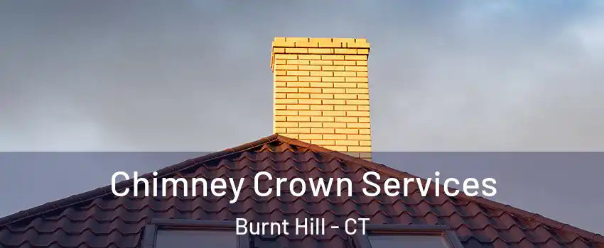 Chimney Crown Services Burnt Hill - CT