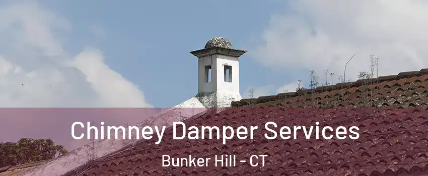 Chimney Damper Services Bunker Hill - CT