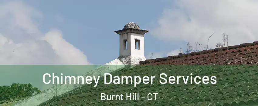 Chimney Damper Services Burnt Hill - CT