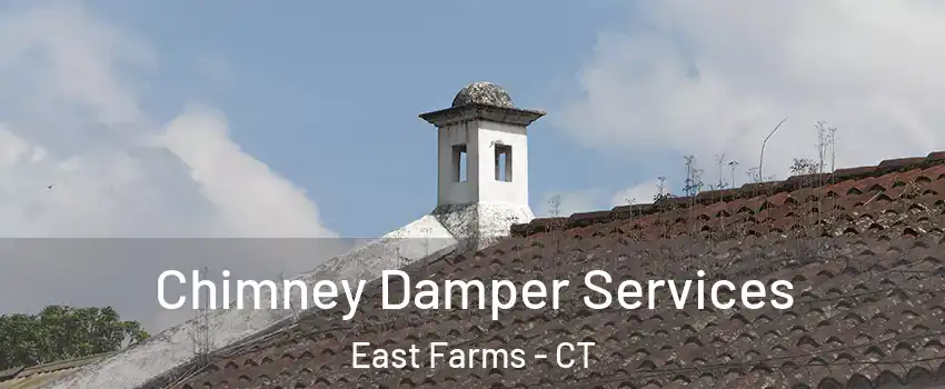 Chimney Damper Services East Farms - CT