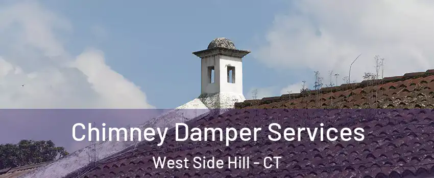 Chimney Damper Services West Side Hill - CT