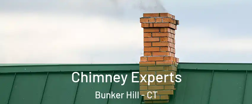 Chimney Experts Bunker Hill - CT