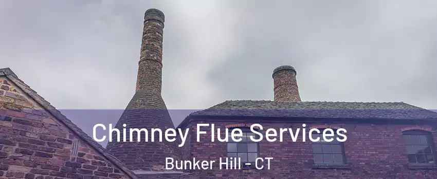 Chimney Flue Services Bunker Hill - CT