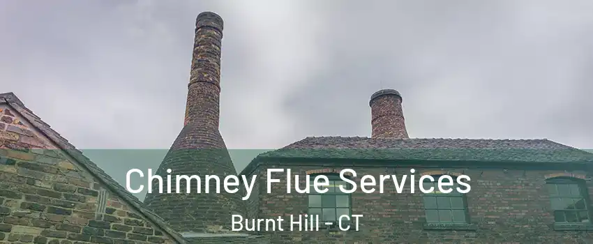 Chimney Flue Services Burnt Hill - CT