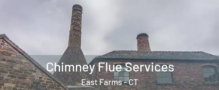 Chimney Flue Services East Farms - CT