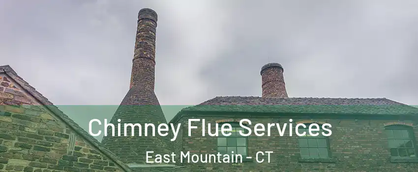 Chimney Flue Services East Mountain - CT